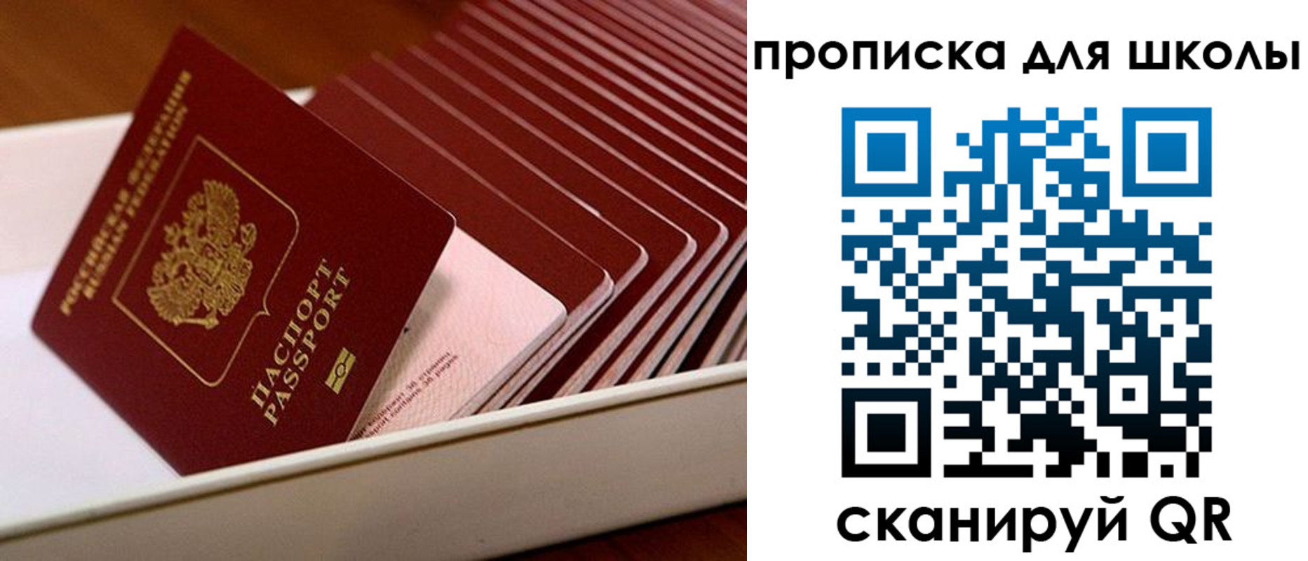 временная регистрация гарантия в Волосово
